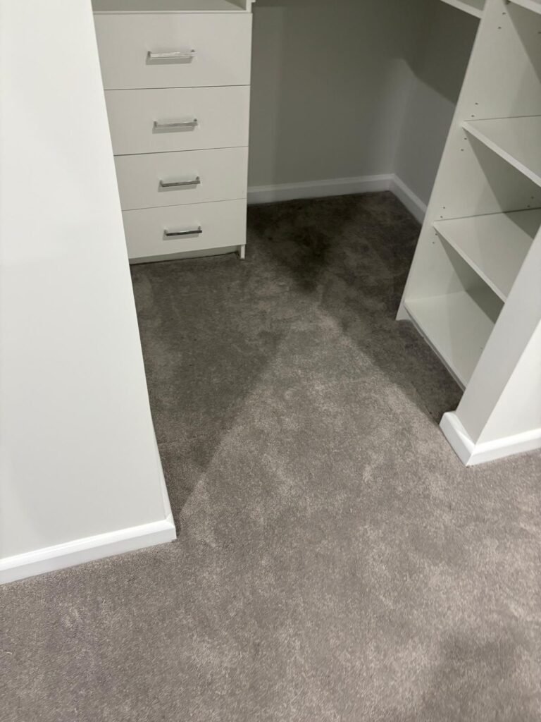 WhatsApp Image 2026-02-13 at 11.26.25 AM