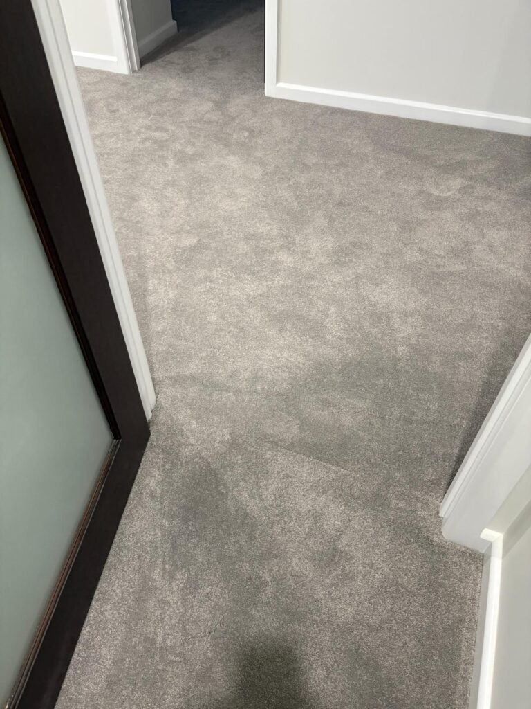 WhatsApp Image 2026-02-13 at 11.26.26 AM (2)