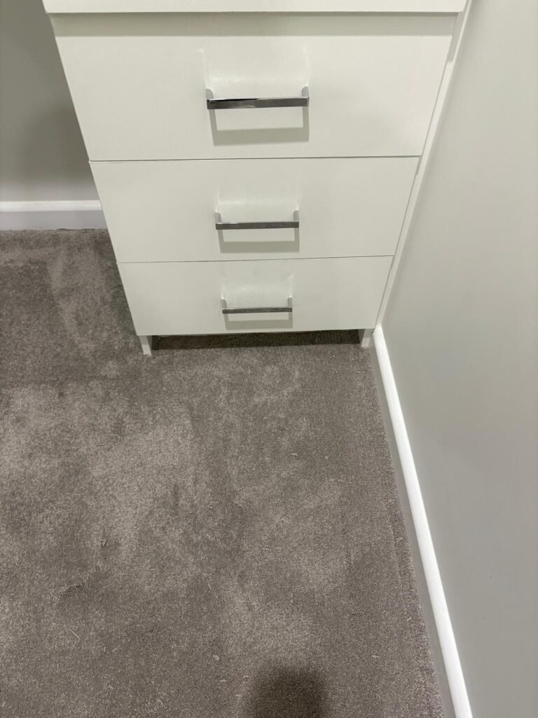 WhatsApp Image 2026-02-13 at 11.26.27 AM (2)