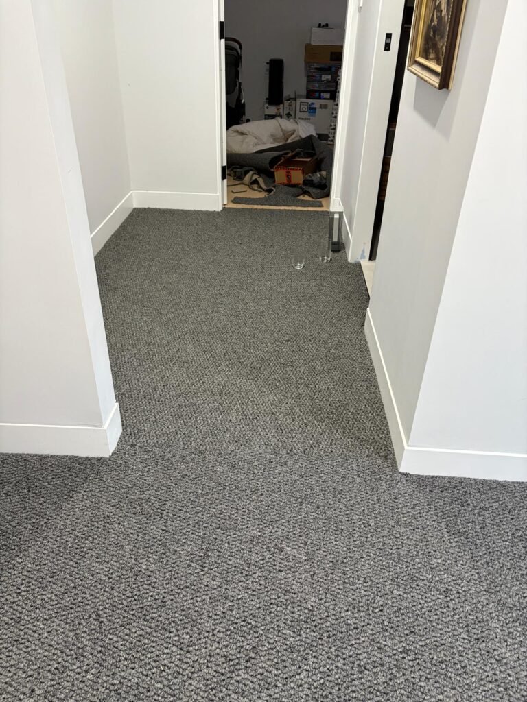 WhatsApp Image 2026-02-13 at 11.26.27 AM