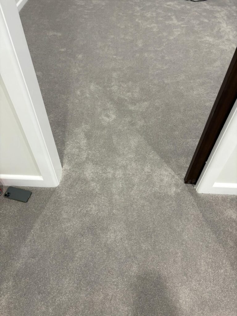 WhatsApp Image 2026-02-13 at 11.26.28 AM